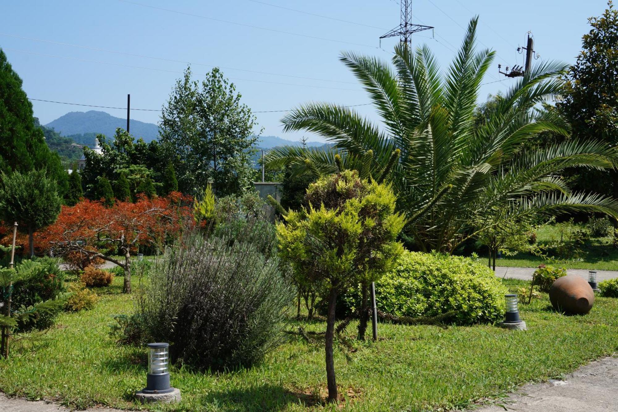 Villa Qero Batumi Exteriör bild