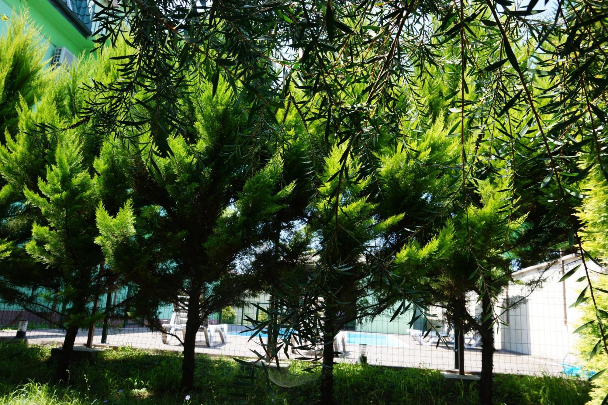 Villa Qero Batumi Exteriör bild