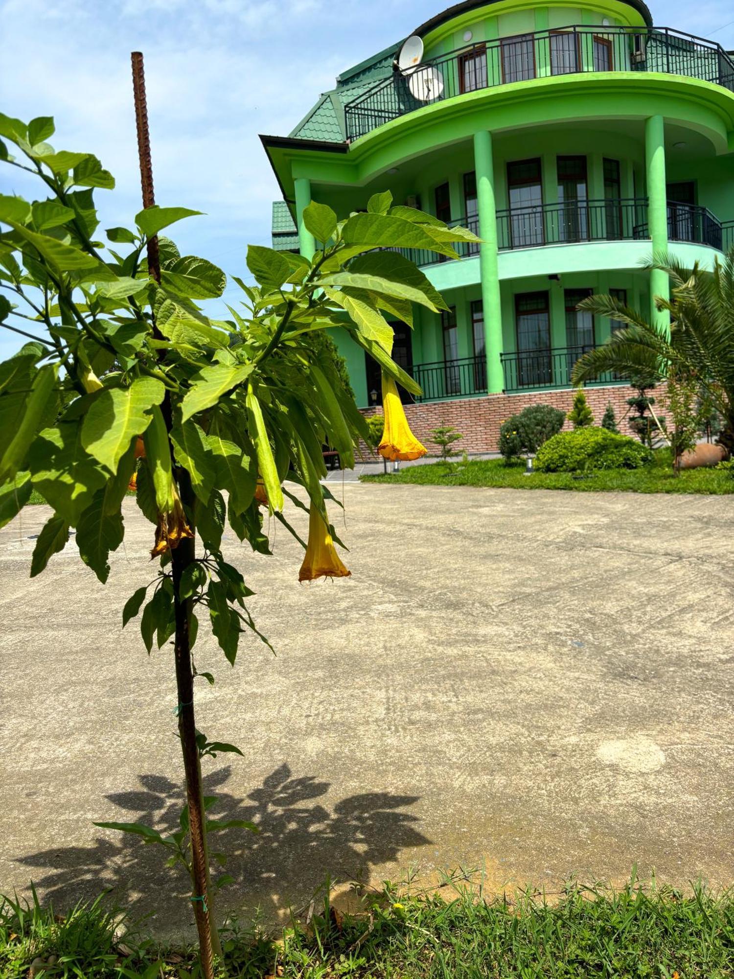 Villa Qero Batumi Exteriör bild